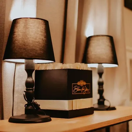 Apartamento For Rent In Centre